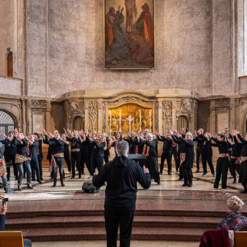 20251101-Cantate-Dresden-2530