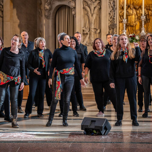 20251101-Cantate-Dresden-2664