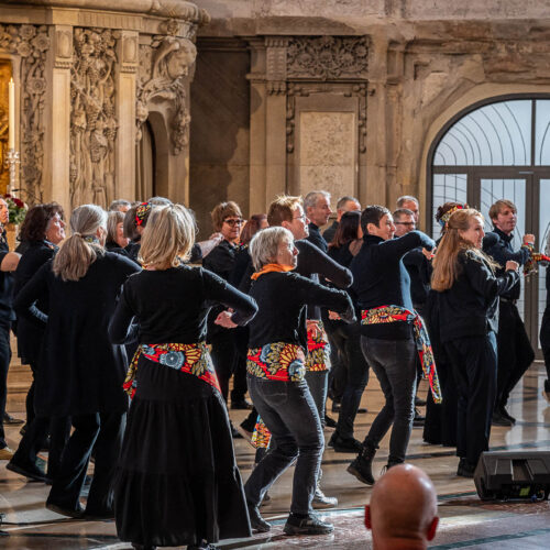 20251101-Cantate-Dresden-2718