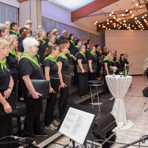 HV-Konzert_2023-05-05_EJ_IMG_1635_1920px