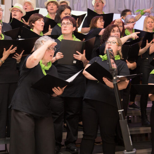 HV-Konzert_2023-05-05_EJ_IMG_1648_1920px
